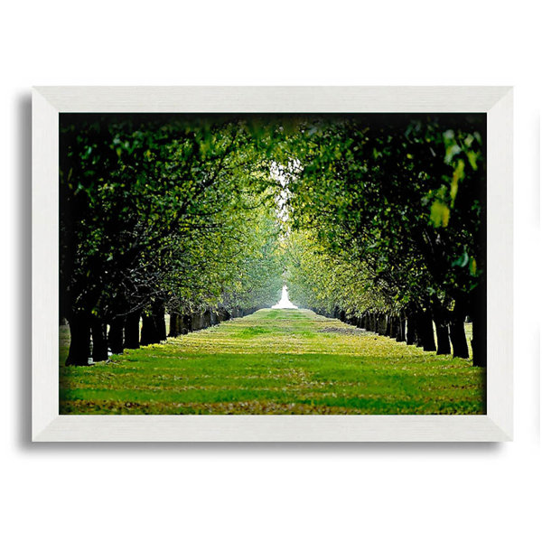 Brayden Studio Orchard Single Picture Frame Art Prints Wayfair.co.uk